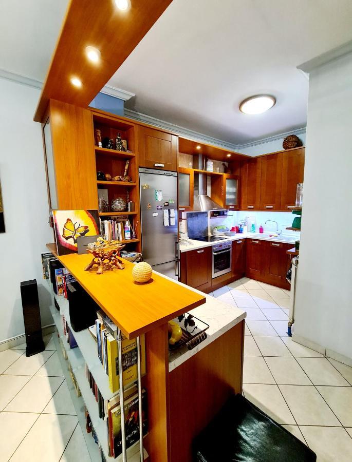 Large Terrace Apartment Near City Centre Athens Luaran gambar