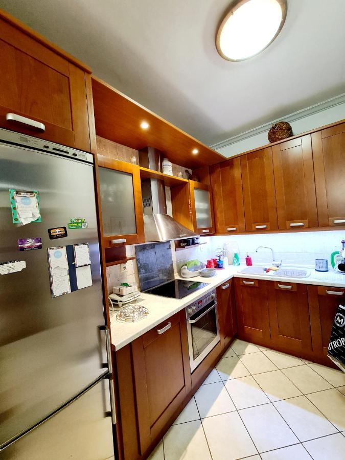 Large Terrace Apartment Near City Centre Athens Luaran gambar