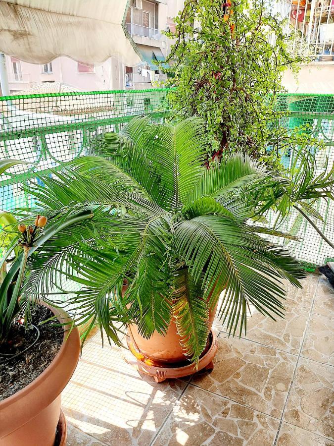Large Terrace Apartment Near City Centre Athens Luaran gambar