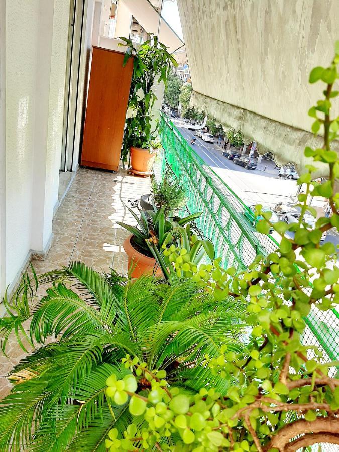 Large Terrace Apartment Near City Centre Athens Luaran gambar