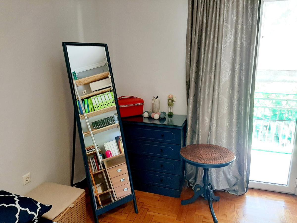 Large Terrace Apartment Near City Centre Athens Luaran gambar