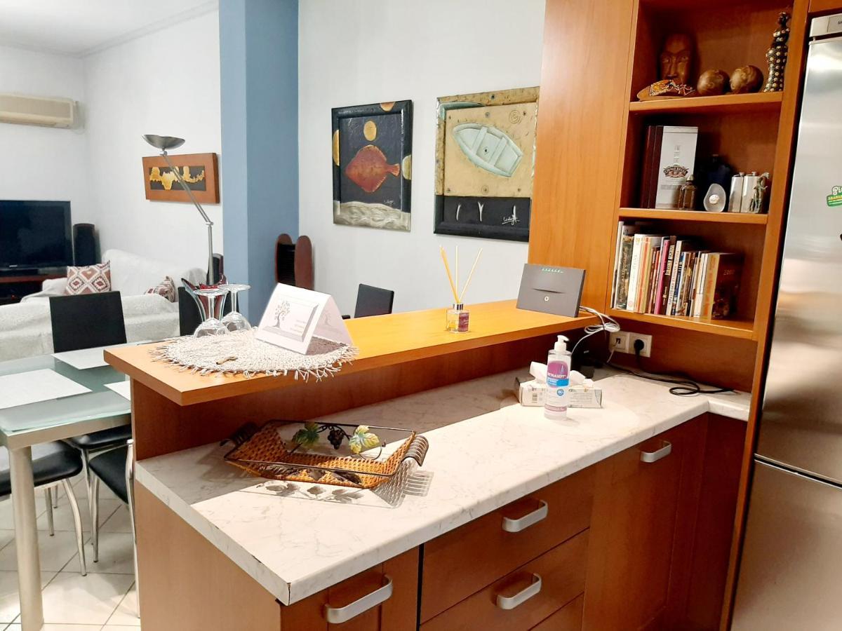 Large Terrace Apartment Near City Centre Athens Luaran gambar