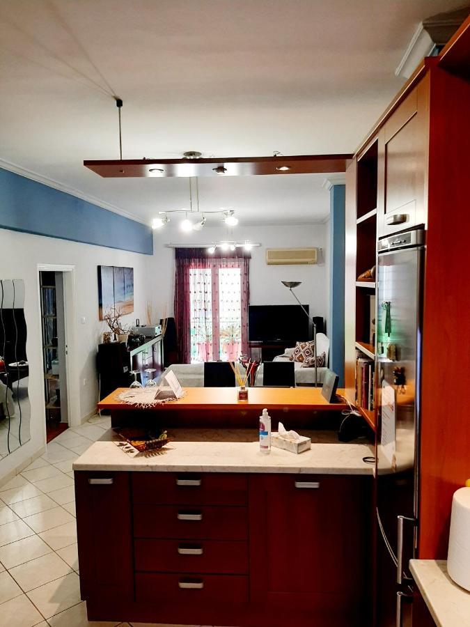 Large Terrace Apartment Near City Centre Athens Luaran gambar