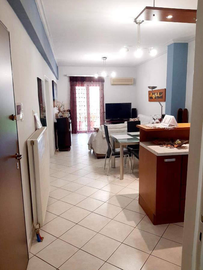 Large Terrace Apartment Near City Centre Athens Luaran gambar