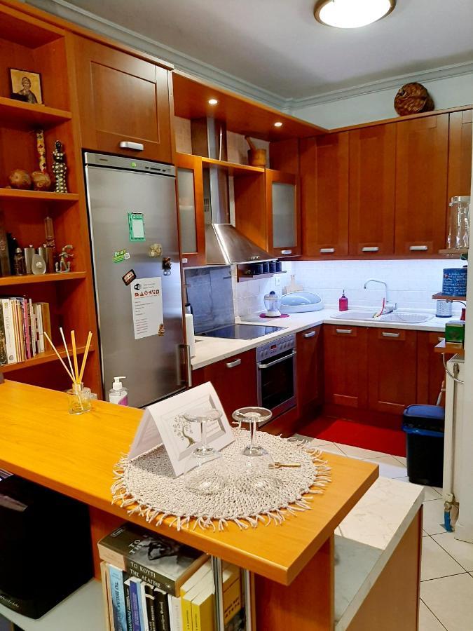 Large Terrace Apartment Near City Centre Athens Luaran gambar