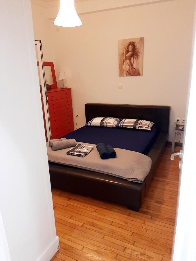 Large Terrace Apartment Near City Centre Athens Luaran gambar