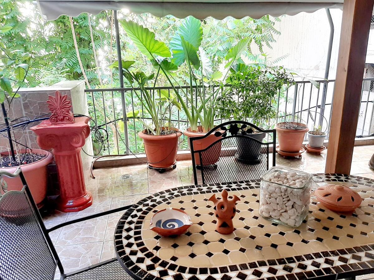 Large Terrace Apartment Near City Centre Athens Luaran gambar