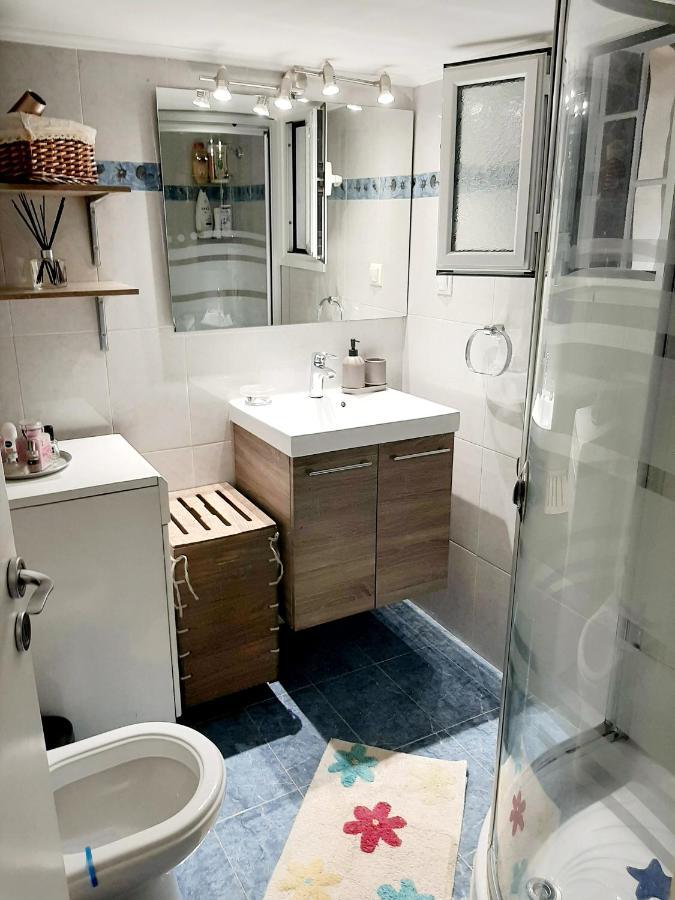 Large Terrace Apartment Near City Centre Athens Luaran gambar